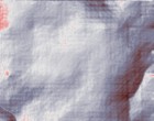 hochbegabung test