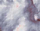 test hochbegabung