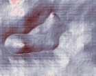 kind legasthenie test